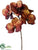 Phalaenopsis Orchid Spray - Copper - Pack of 12