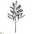 Rubber Plant - Silver - Pack of 2