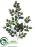 Silk Plants Direct Mini Holly Spray - Green Variegated - Pack of 12