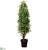 Laurel With Berry Topiary Tree - Green Red - Pack of 1