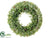 Icy Boxwood Wreath - Green Light - Pack of 4