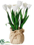 Silk Plants Direct Tulip - White - Pack of 4