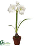 Silk Plants Direct Amaryllis - White - Pack of 4