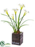 Silk Plants Direct Narcissus - White - Pack of 6