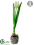 Silk Plants Direct Tulip - Cream Green - Pack of 12