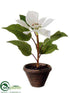 Silk Plants Direct Velvet Poinsettia - Cream - Pack of 4