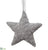 Beaded Star Ornament - Silver - Pack of 2