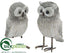 Silk Plants Direct Owl - Gray Whitewashed - Pack of 2