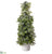 Iced Norway Spruce Topiary - Green White - Pack of 1