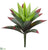 Agave Plant - Green - Pack of 4