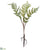 Fern Spray With Roots - Green - Pack of 24
