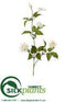 Silk Plants Direct Clematis Spray - Cream - Pack of 6