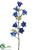 Morning Glory - Blue - Pack of 6