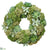 Succulent, Sedum Wreath - Green Two Tone - Pack of 1