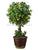 Boxwood Ball Topiary with Lights - Green - Pack of 2