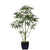 Silk Plants Direct Finger Aralia Tree - Green - Pack of 2