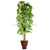 Silk Plants Direct Giant Pothos Pole Plant - Green - Pack of 1