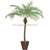 Large Phoenix Palm Tree - Green - Pack of 1