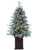 Lighted Blue Spruce Tree Snowed - Green - Pack of 1