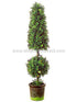 Silk Plants Direct Lighted Boxwood Topiary Ball Cone - Green - Pack of 1