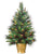 Lighted Pine Tree - Green - Pack of 2