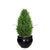 Silk Plants Direct Mini Cypress Water Drop - Green - Pack of 2