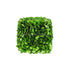 Silk Plants Direct Preserved Boxwood Square Cube - Green - Pack of 4