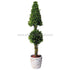Silk Plants Direct Preserved Boxwood Cone Ball - Green - Pack of 1