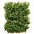 Silk Plants Direct Tall Boxwood Hedge Center Piece - Green - Pack of 1