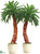 Outdoor Date Palm Tree Extra Deluxe - Green - Pack of 1