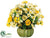Cosmos, Ranunculus, Berry - Yellow - Pack of 1