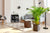 Artificial Plants and The Art of Shaping Up the Room