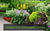 Increase Your Xeriscaping Interest