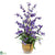 Silk Plants Direct Dancing Lady Silk Orchid Arrangement - Purple - Pack of 1