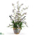 Silk Plants Direct Dancing Lady Silk Orchid Arrangement - White - Pack of 1
