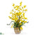Silk Plants Direct Dancing Lady Silk Orchid Arrangement - Yellow - Pack of 1
