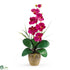 Silk Plants Direct Single Stem Phalaenopsis Silk Orchid Arrangement - Beauty - Pack of 1