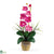 Silk Plants Direct Single Stem Phalaenopsis Silk Orchid Arrangement - Dark Pink - Pack of 1