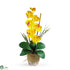 Silk Plants Direct Single Stem Phalaenopsis Silk Orchid Arrangement - Yellow - Pack of 1