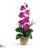 Silk Plants Direct Single Stem Phalaenopsis Silk Orchid Arrangement - Orchid - Pack of 1