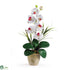 Silk Plants Direct Single Stem Phalaenopsis Silk Orchid Arrangement - White - Pack of 1