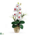 Silk Plants Direct Single Stem Phalaenopsis Silk Orchid Arrangement - White - Pack of 1