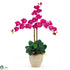 Silk Plants Direct Triple Stem Phalaenopsis Silk Orchid Arrangement - Beauty - Pack of 1