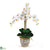 Silk Plants Direct Triple Stem Phalaenopsis Silk Orchid Arrangement - Cream - Pack of 1