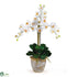 Silk Plants Direct Triple Stem Phalaenopsis Silk Orchid Arrangement - Cream - Pack of 1