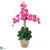 Silk Plants Direct Triple Stem Phalaenopsis Silk Orchid Arrangement - Dark Pink - Pack of 1