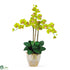 Silk Plants Direct Triple Stem Phalaenopsis Silk Orchid Arrangement - Green - Pack of 1