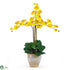 Silk Plants Direct Triple Stem Phalaenopsis Silk Orchid Arrangement - Yellow - Pack of 1