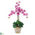 Silk Plants Direct Triple Stem Phalaenopsis Silk Orchid Arrangement - Mauve - Pack of 1
