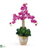 Silk Plants Direct Triple Stem Phalaenopsis Silk Orchid Arrangement - Orchid - Pack of 1